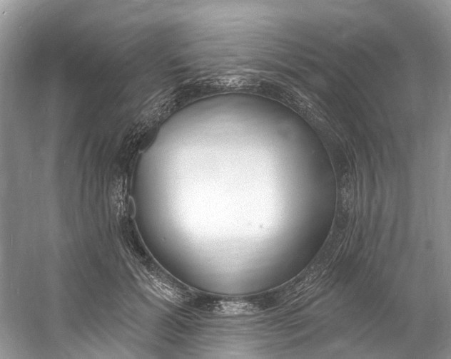 X0000060810605200512011802