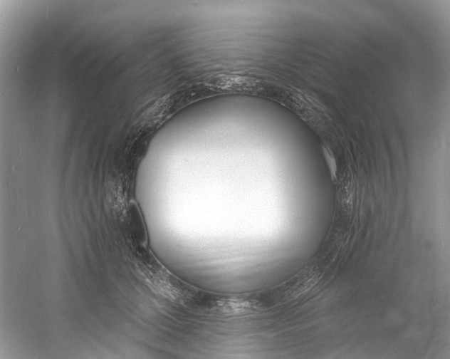 X0000060810607200512011802