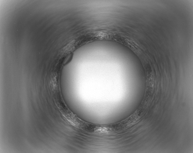 X0000060810611200512011801