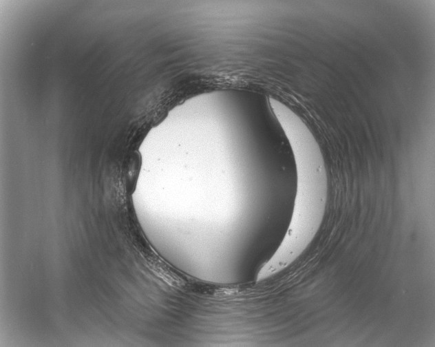 X0000060810613200512011801