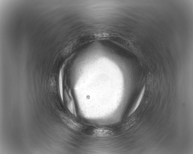 X0000060810614200512011801