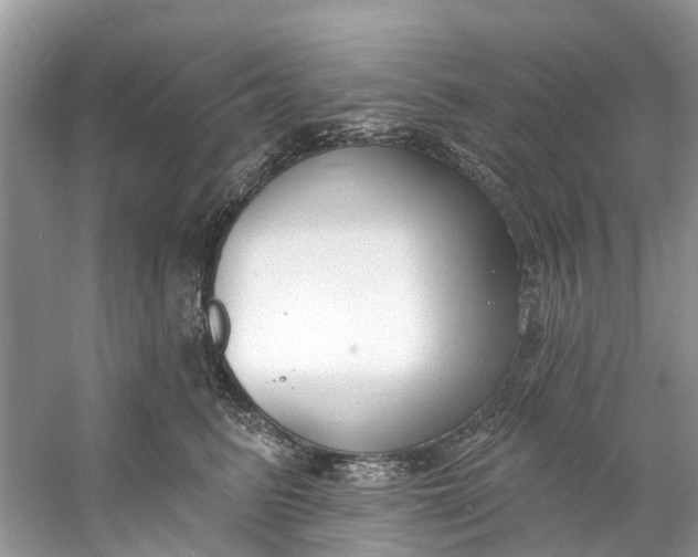 X0000060810615200512011801