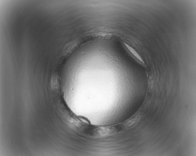 X0000060810623200512011801