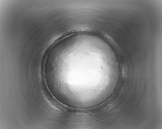 X0000060810627200512011800