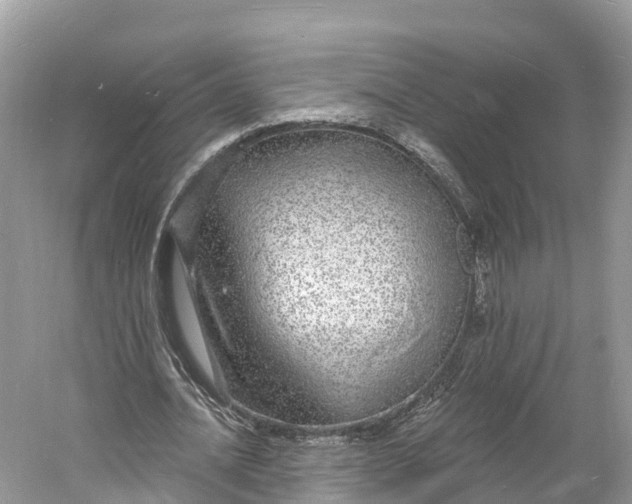 X0000060810628200512011800