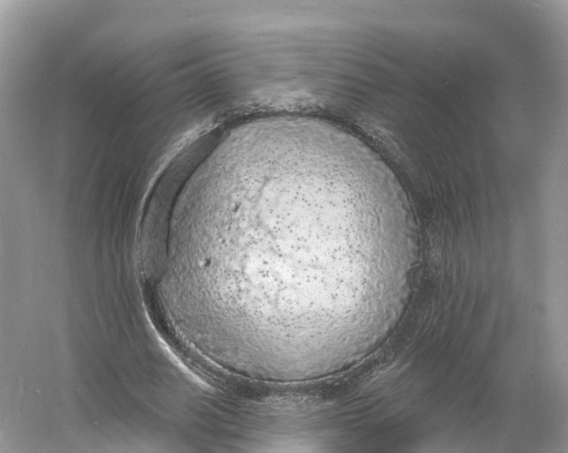 X0000060810630200512011801