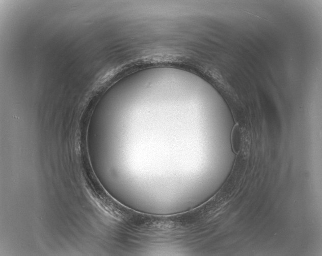 X0000060810631200512011801