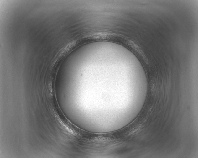 X0000060810633200512011801