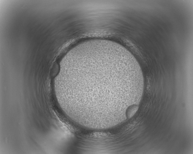X0000060810636200512011801