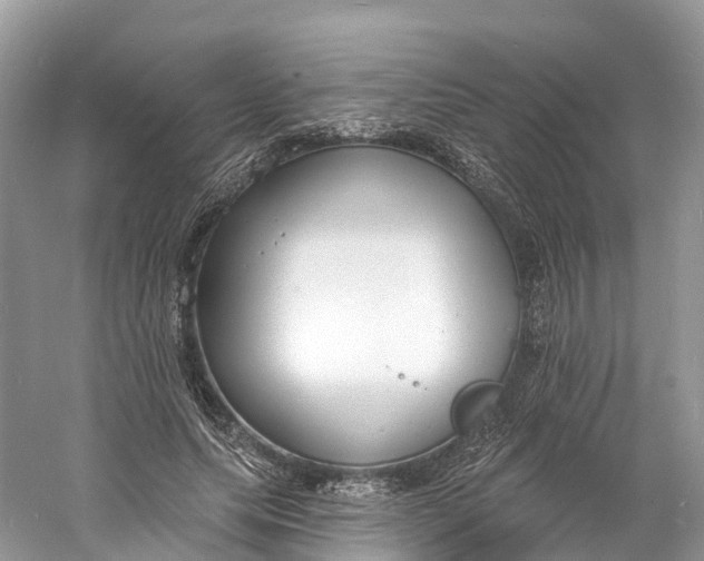 X0000060810639200512011801