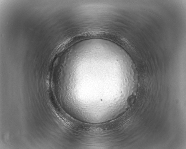 X0000060810640200512011801