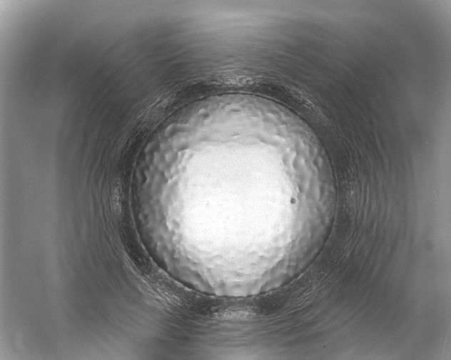 X0000060810643200512011801