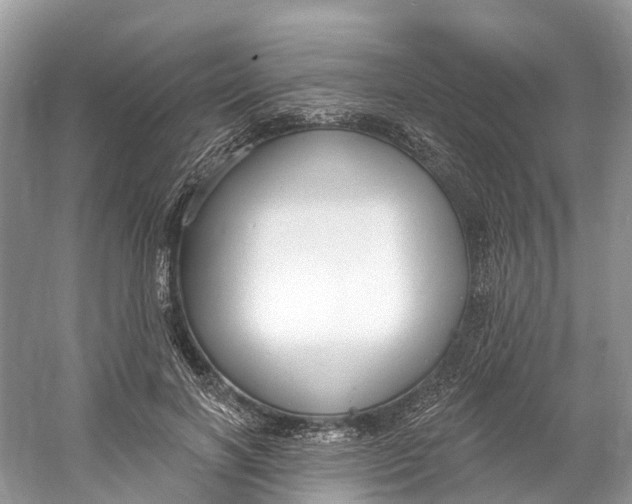 X0000060810646200512011801