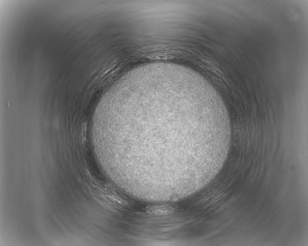 X0000060810652200512011801