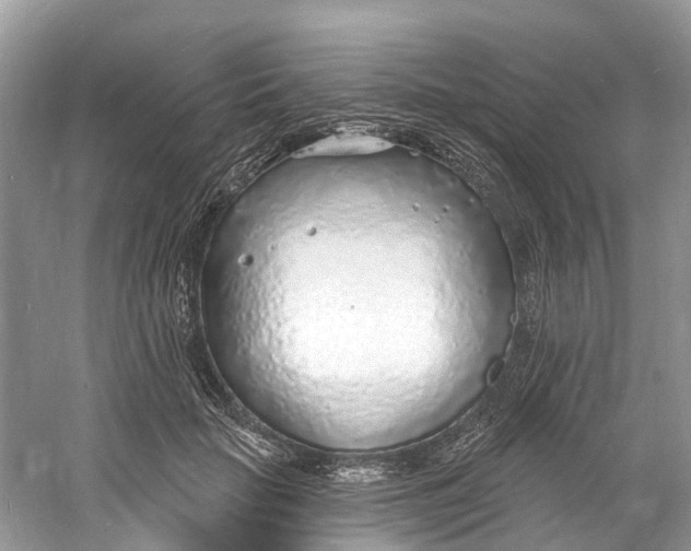 X0000060810653200512011801