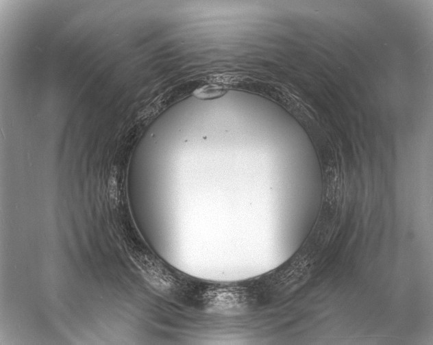 X0000060810655200512011801