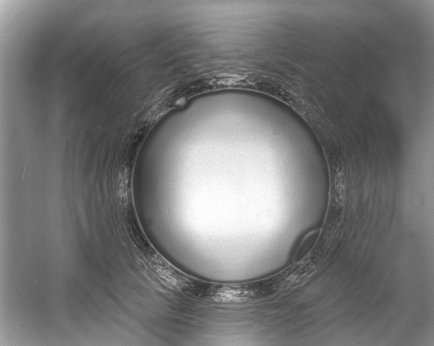 X0000060810657200512011801