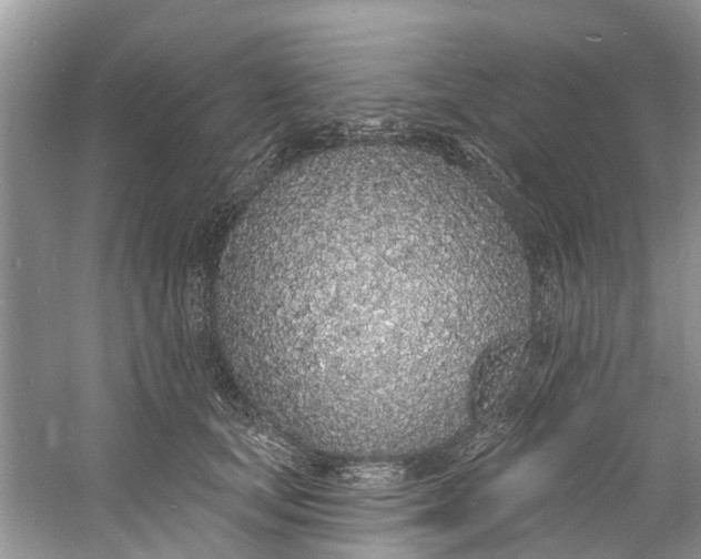 X0000060810659200512011801