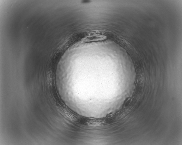 X0000060810661200512011801