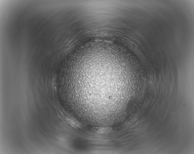 X0000060810663200512011801