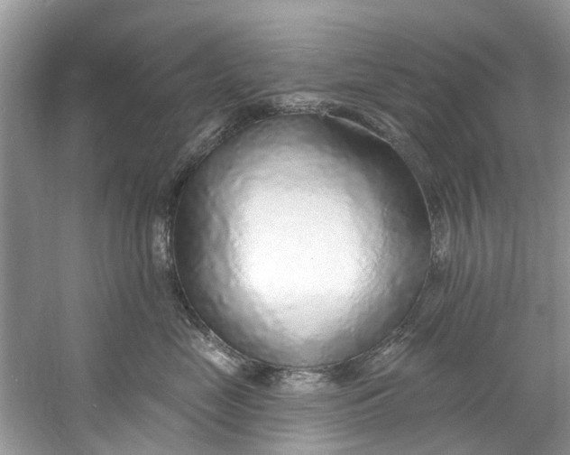 X0000060810669200512011801
