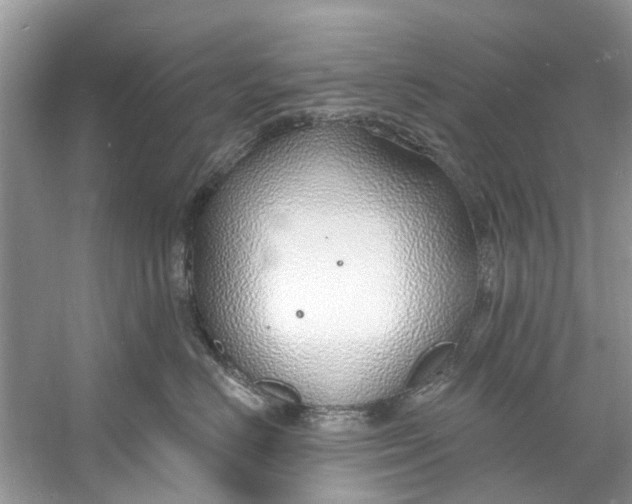 X0000060810670200512011801