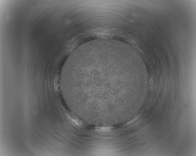 X0000060810671200512011801