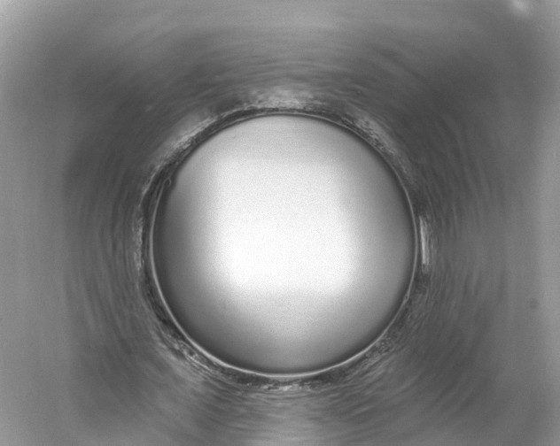 X0000060810675200512011800
