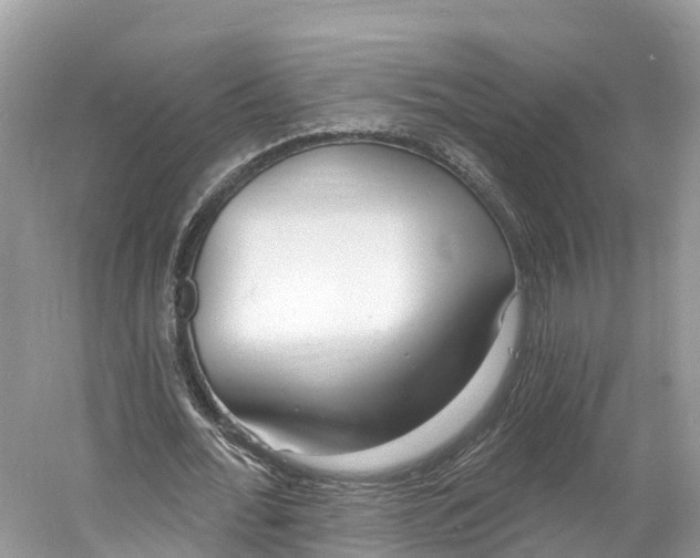X0000060810676200512011800