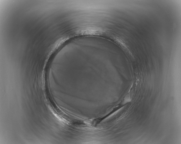 X0000060810678200512011800