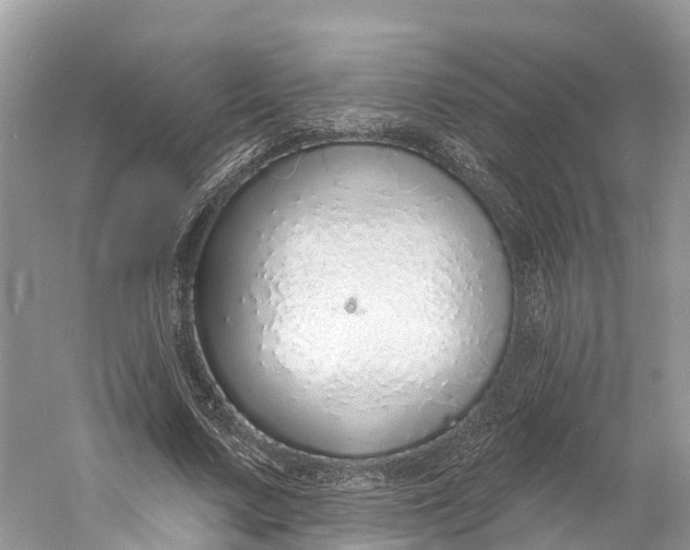 X0000060810683200512011800