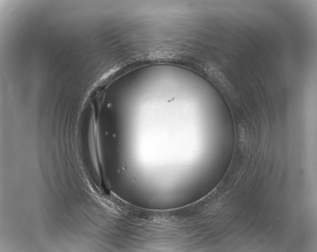 X0000060810684200512011800