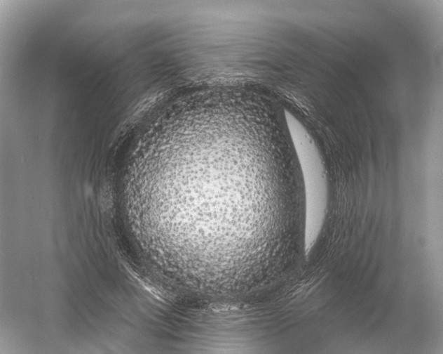 X0000060810687200512011800