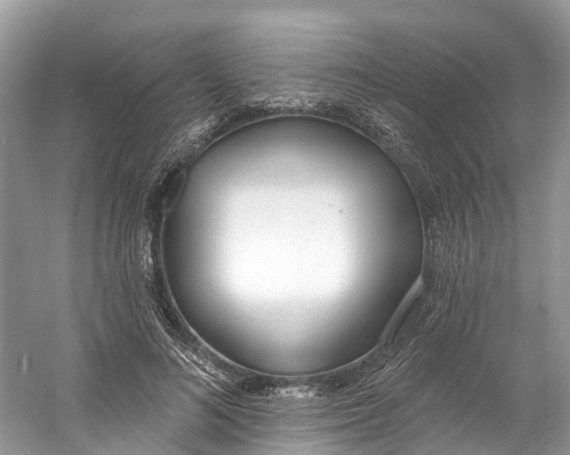 X0000060810692200512011800