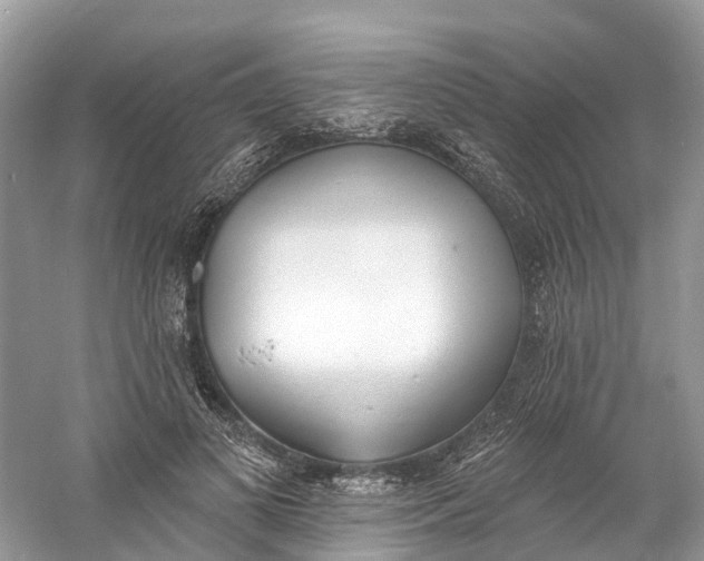 X0000060810693200512011800