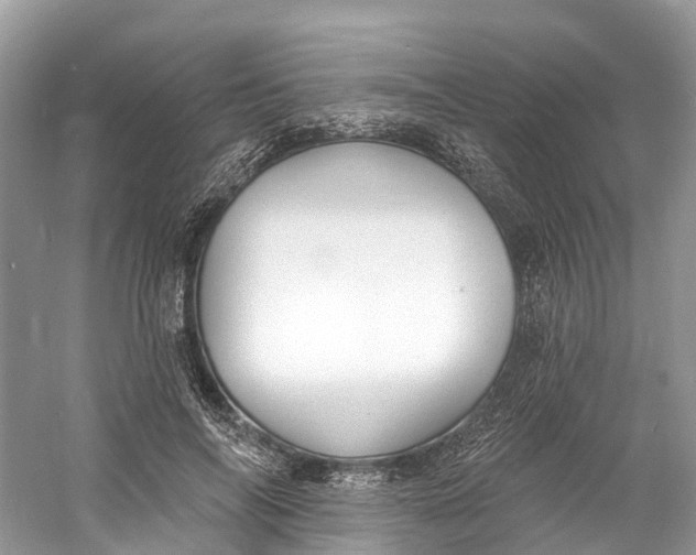 X0000060810694200512011800