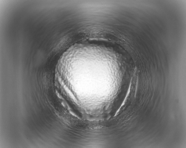 X0000060810695200512011800