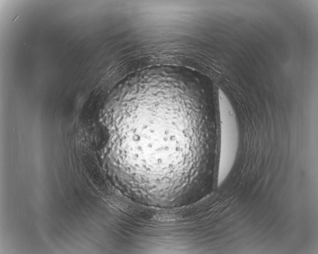 X0000060810699200512011800