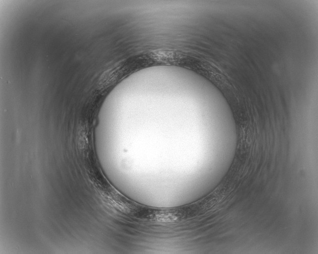X0000060810702200512011800