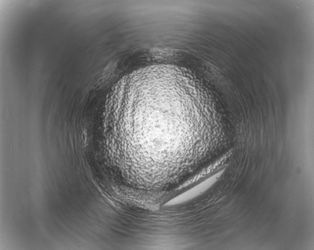 X0000060810703200512011800