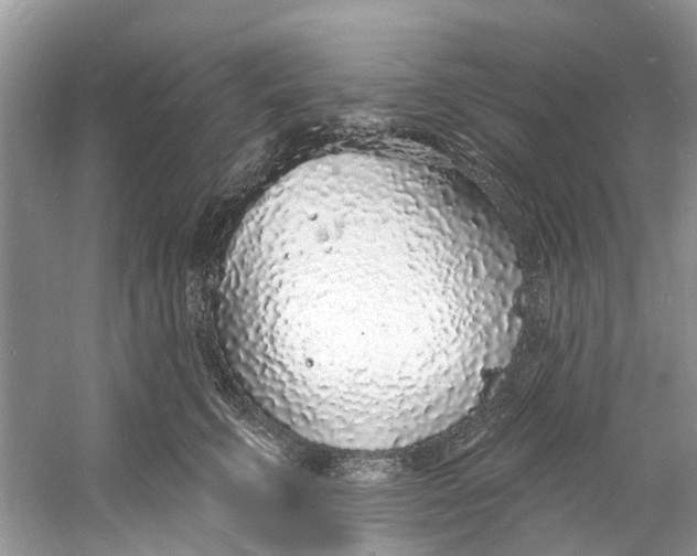 X0000060810711200512011800