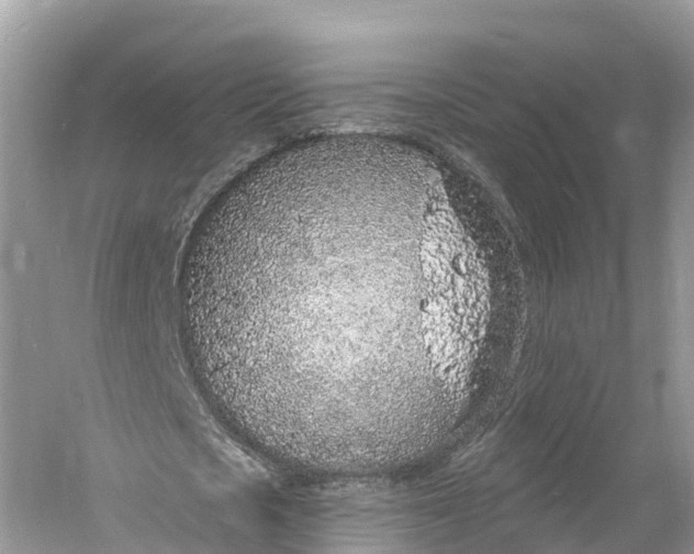 X0000060810721200512011759