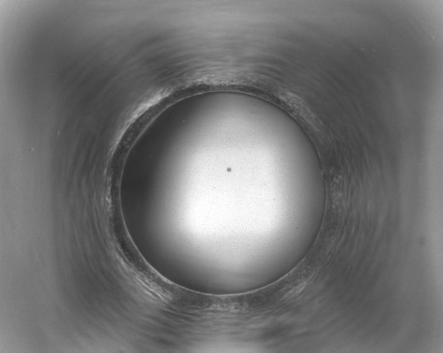 X0000060810727200512011759