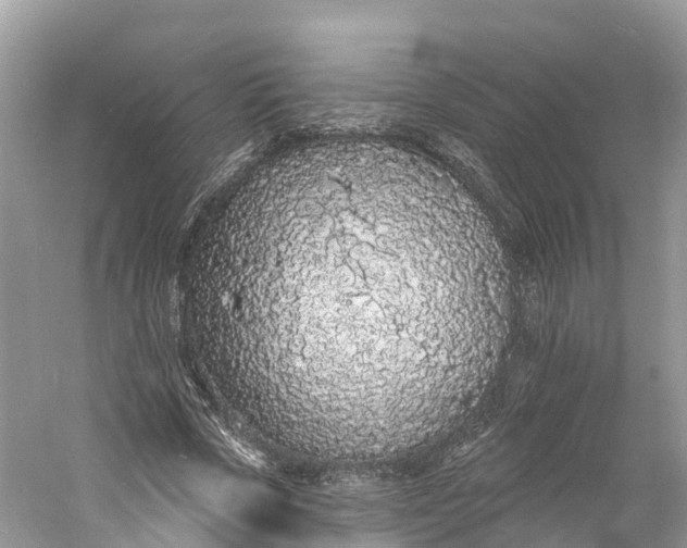 X0000060810729200512011759