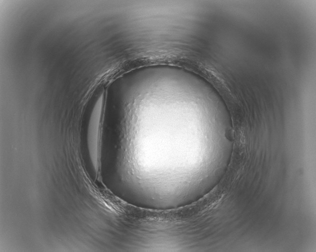 X0000060810733200512011759