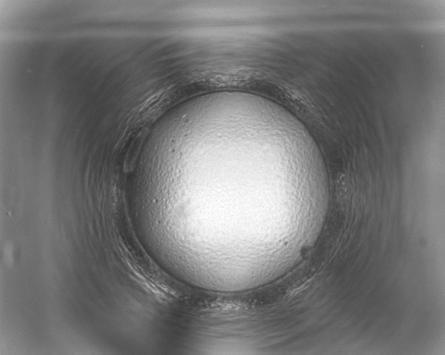 X0000060810741200512011759