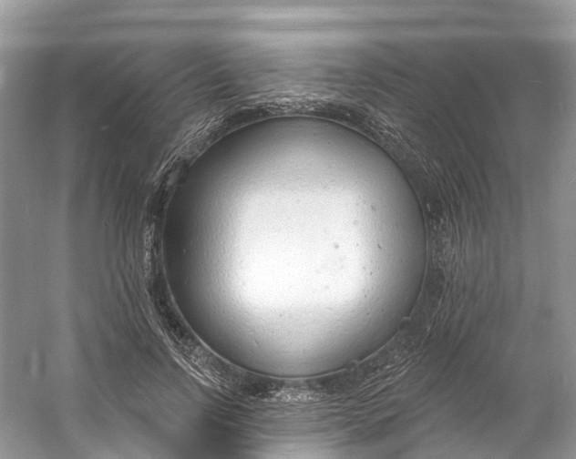 X0000060810742200512011759