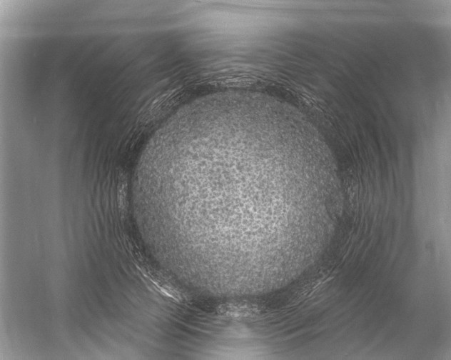 X0000060810745200512011759