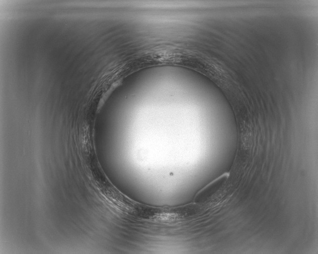 X0000060810748200512011759