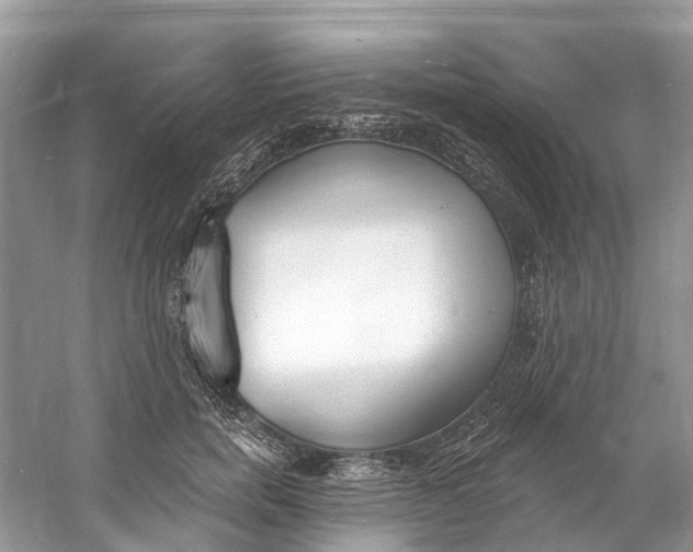 X0000060810750200512011759